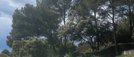 Alberca