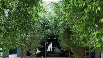 Un camino pavimentado bordeado por árboles verdes que conduce a la entrada de un edificio.