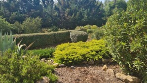 A well-maintained garden with various shrubs, a neatly trimmed hedge, and a gravel path.
