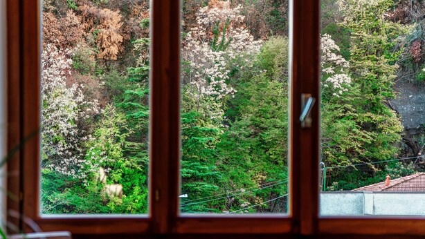 Blick durch ein Fenster mit Holzrahmen auf eine bewaldete Landschaft mit verschiedenen Bäumen und ein Gebäude mit Ziegeldach im Vordergrund.