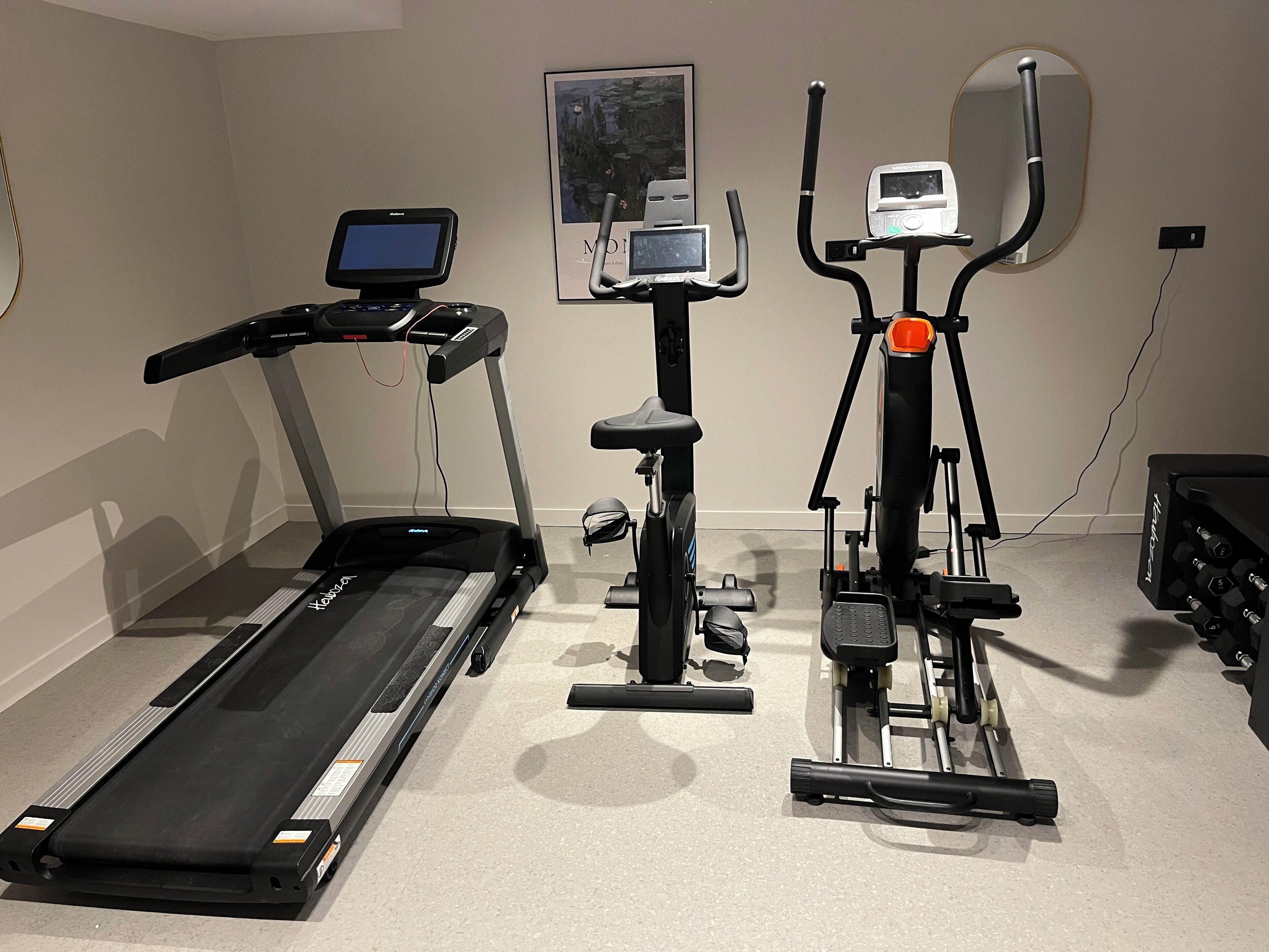 A home gym with a treadmill, an elliptical, and a stationary bike.