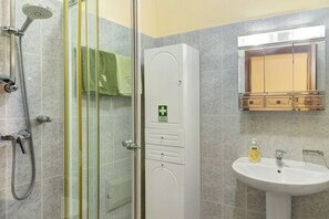 Shower, hair dryer, bidet, towels