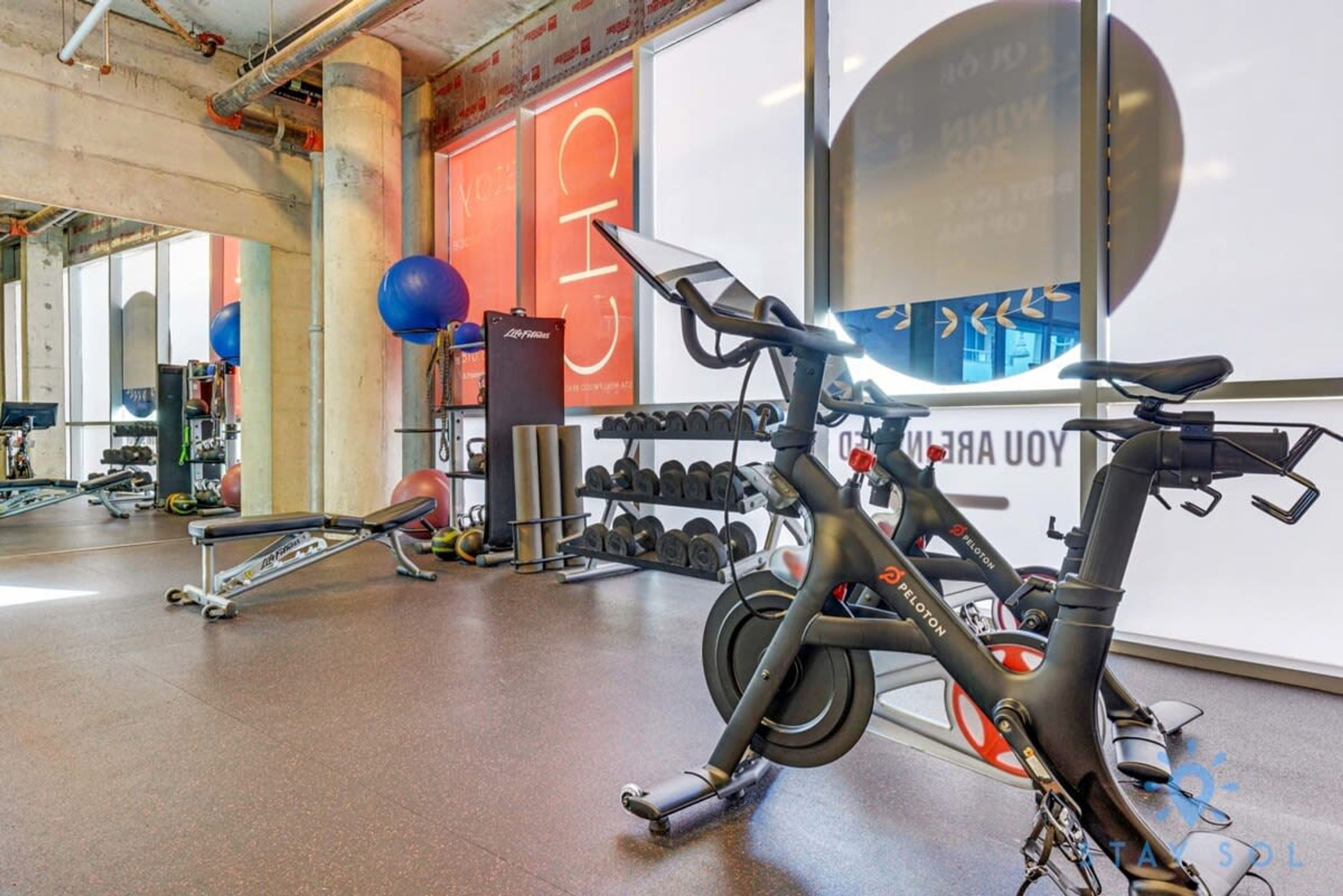 A gym with exercise equipment, including a Peloton bike, dumbbells, and a bench.