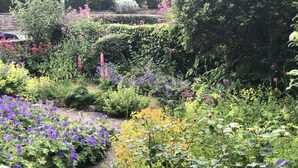 A garden with a variety of plants and flowers, a paved path, and a stone wall in the background.