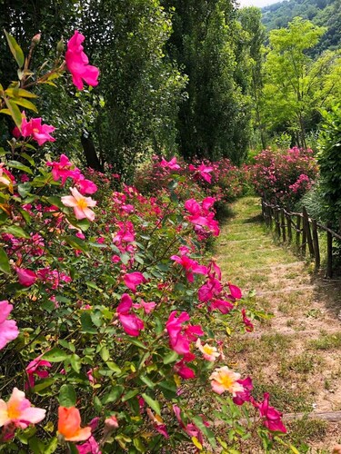 Tenuta Moncarlino - Camera Seta