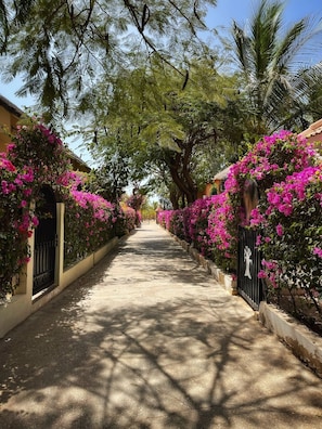 A pathway flanked by vibrant bougainvillea and palm trees, leading to a building with a black gate. - Résidence du Port Villa N° 04 Avec Piscine Face à la mer (Saly)