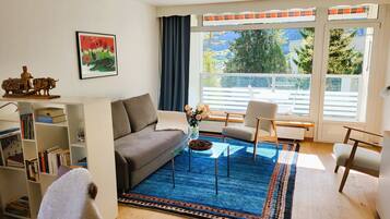 TV, DVD player, books, video library