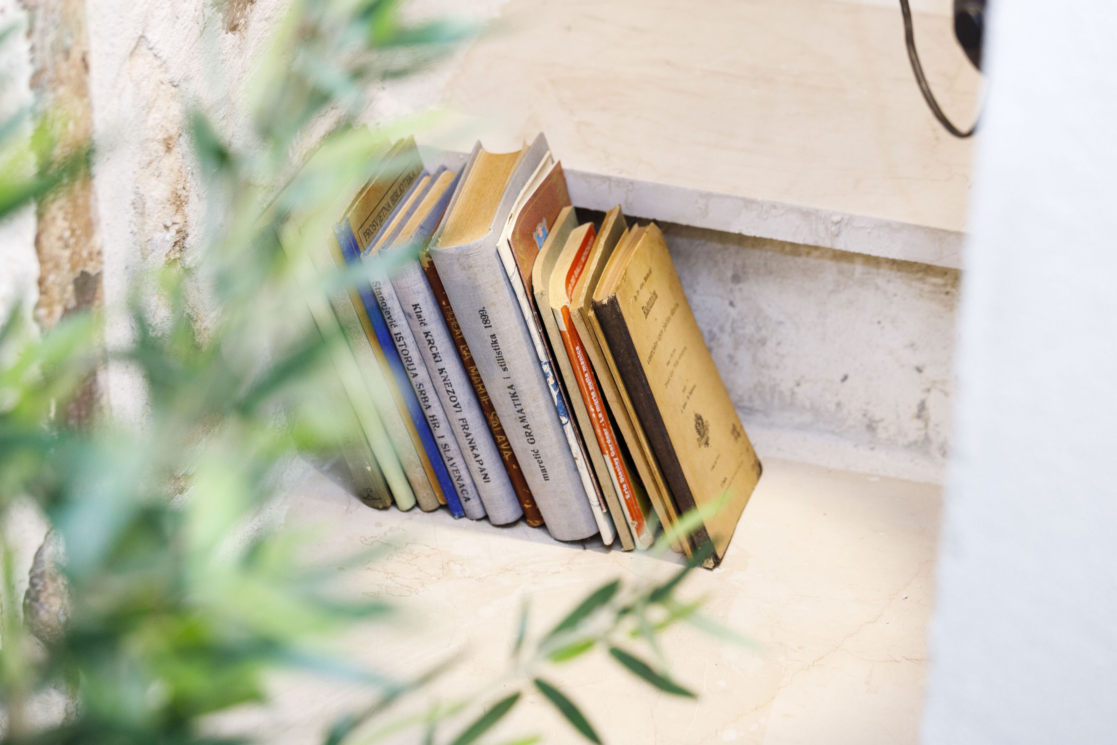 A bookshelf with books and a plant.