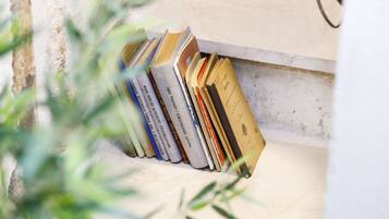 A bookshelf with books and a plant.