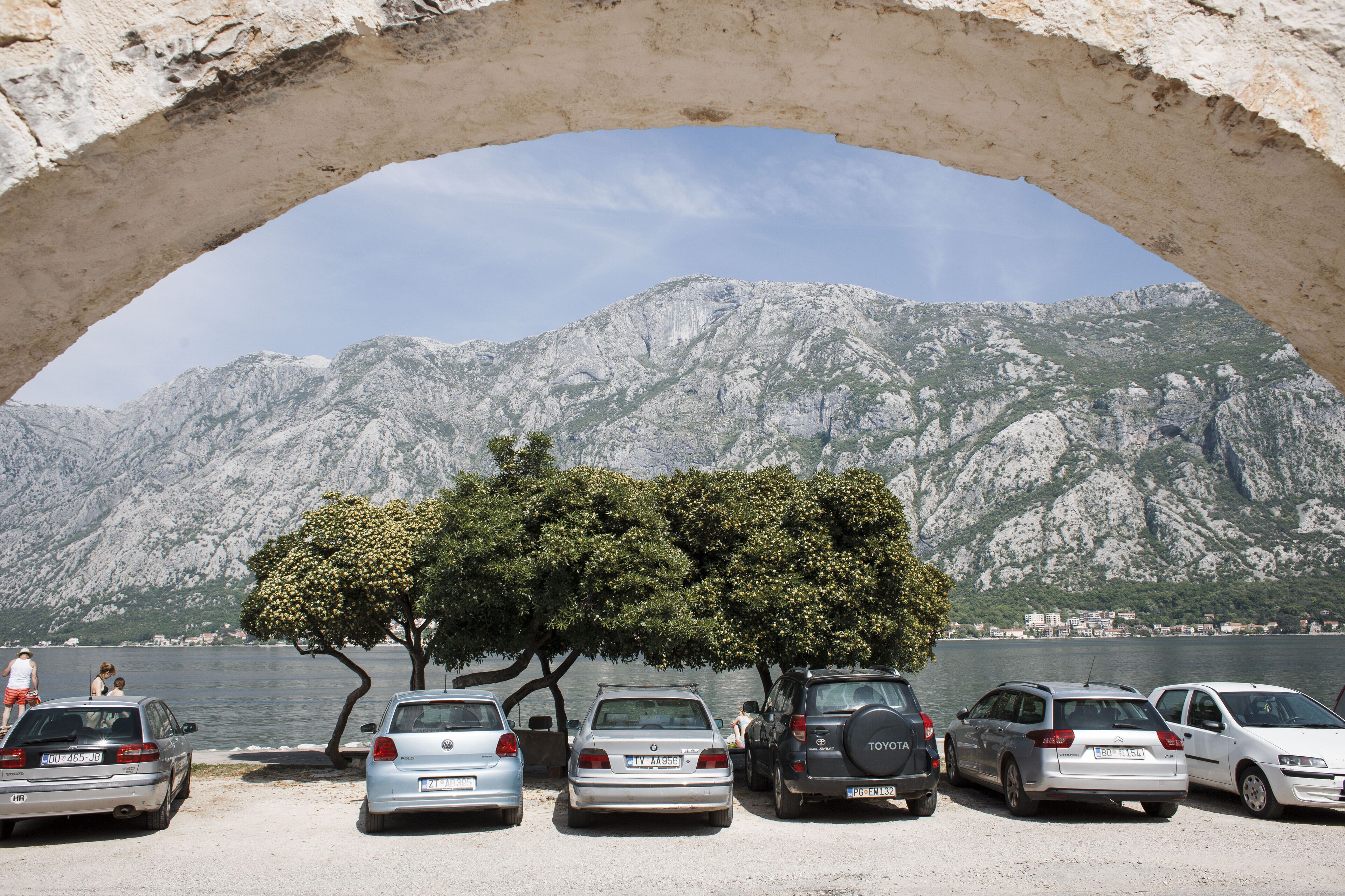 A parking area with cars and a tree in front of a mountainous backdrop.