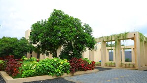 Un patio con un árbol grande, una pérgola cubierta de plantas trepadoras y un sendero pavimentado.
