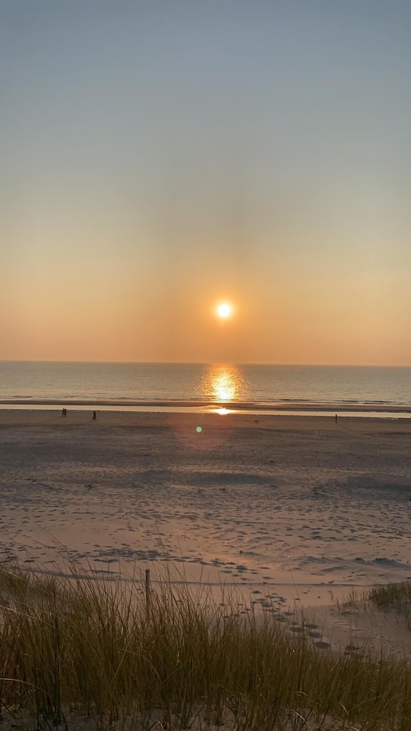 On the beach - 1 bedroom accommodation in Egmond aan Zee (Egmond aan Zee)