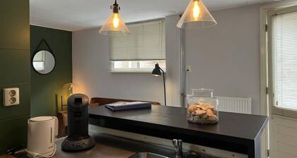 1 bedroom accommodation in Egmond aan Zee