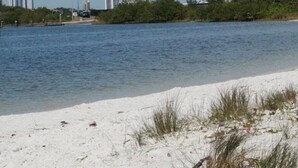 Ein Strand mit sandigem Ufer und ruhigem Wasser. Im Hintergrund Hochhäuser und einige Grünflächen.