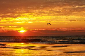 Vlak bij het strand