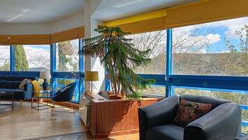 TV connectée, cheminée, lecteur de DVD, livres