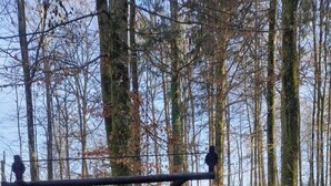 Un parc équipé d’une aire de jeux avec des balançoires, d’un foyer et d’une table de pique-nique.