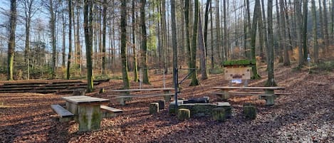 Enceinte de l’hébergement