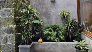 A stone wall with a window and a concrete planter with various plants. - Casa do Cinzeiro, Açores - With private pool! (Açores)