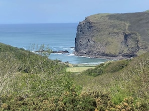 Un paysage côtier caractérisé par une falaise imposante, des vagues déferlantes et une végétation luxuriante.