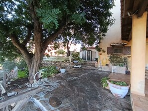 Terras