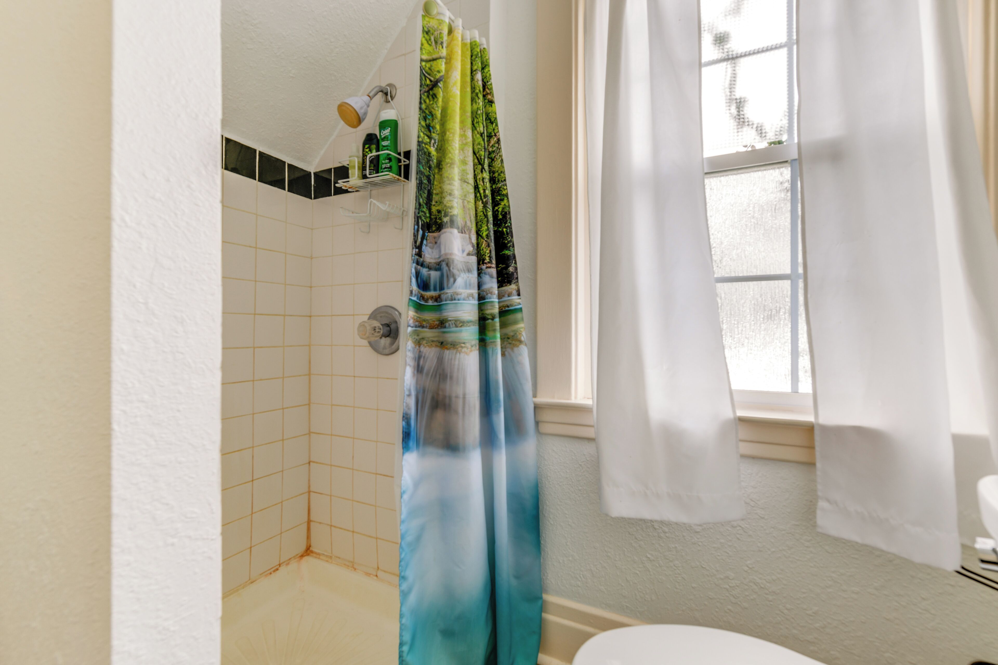 A bathroom with a shower curtain depicting a waterfall, a toilet, and a window with curtains.
