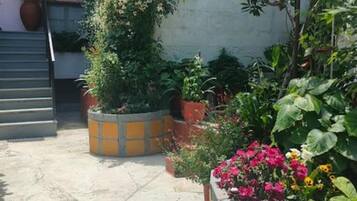 Área da propriedade