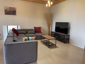 Télévision, cheminée, livres