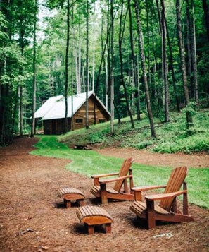 Property grounds - Glamping in Brevard - Blue Ghost Treehouse (Brevard)