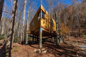 Exterior - Glamping in Brevard - Blue Ghost Treehouse (Brevard)