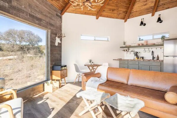 Books, music library, stereo - Romantic Stargazing Retreat in Nature w/ Hot Tub, Sauna + Outdoor Shower (Fredericksburg)