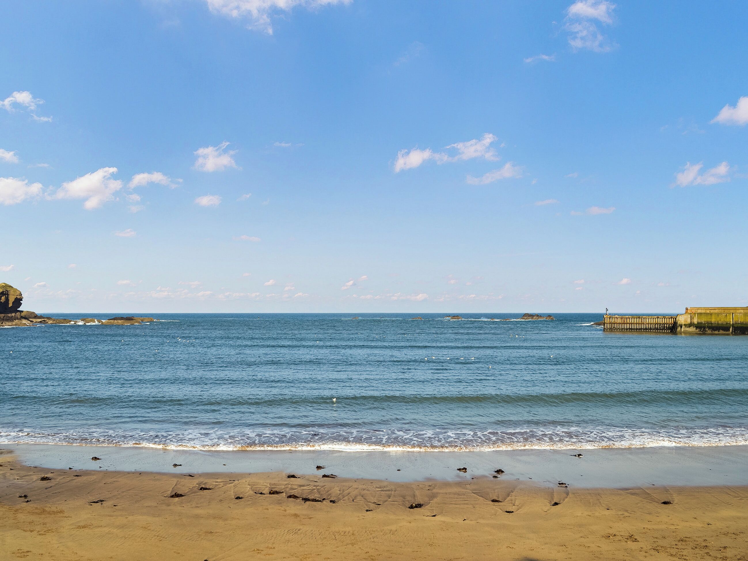 Une plage avec un ciel dégagé et une mer calme.