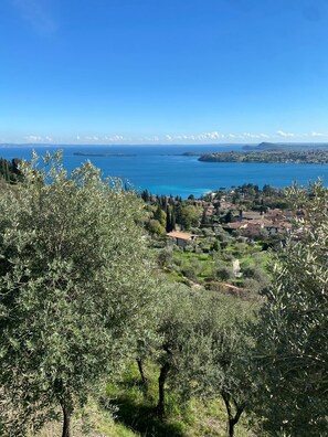 Photo non classée, 2 sur 8, bouton