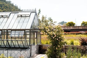 Garden - Vinte-Quinta da Boavista (Ponte de Lima)