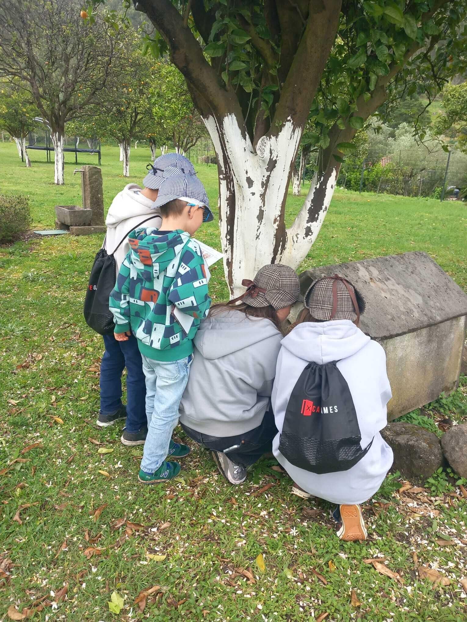 Un groupe de personnes s’est rassemblé autour d’un grand arbre dans un parc.