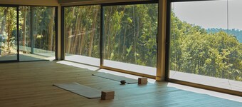 Vinte-Quinta da Boavista