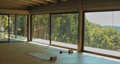 Vinte-Quinta da Boavista