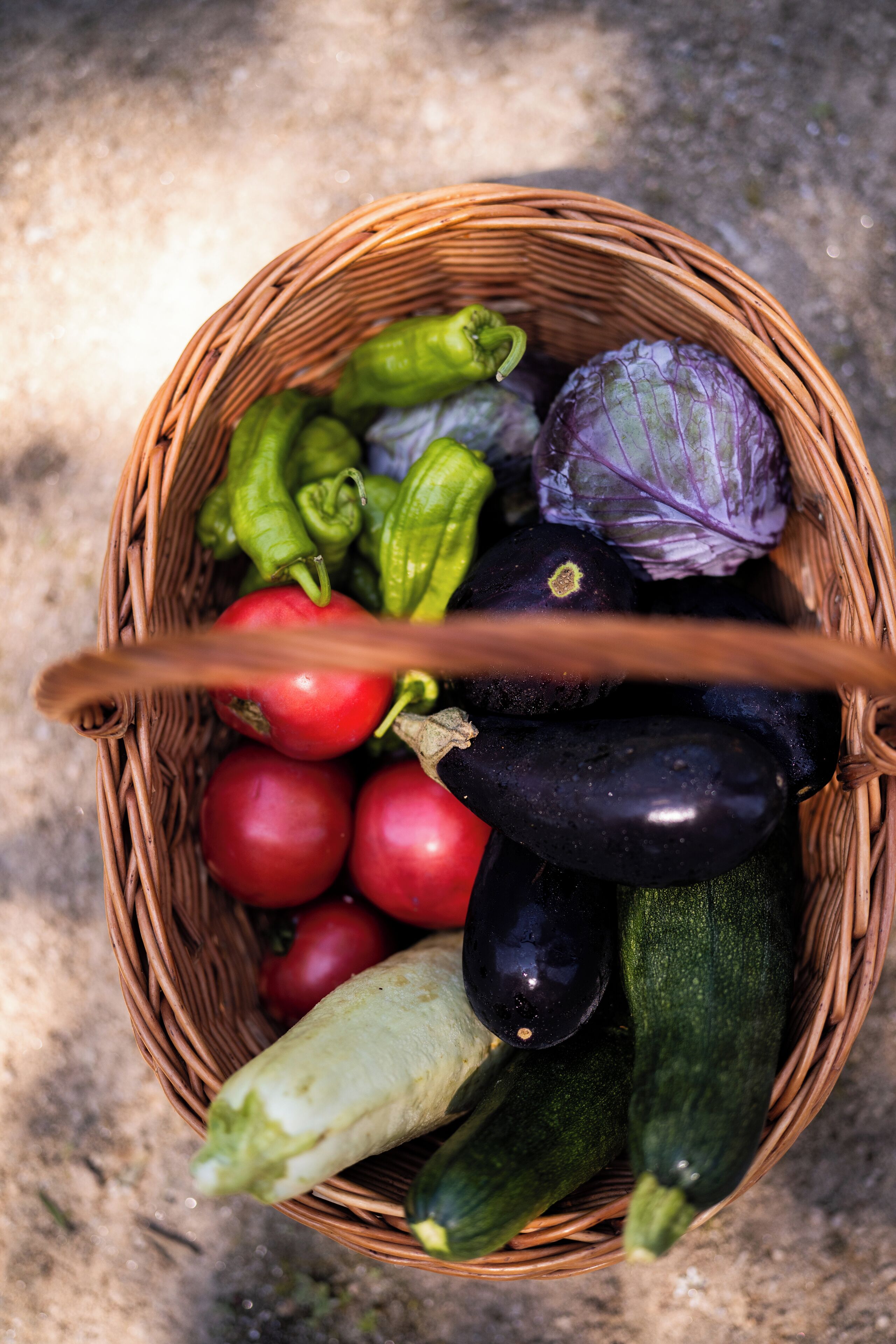 Un panier en osier rempli de divers légumes, notamment des tomates, des aubergines et des concombres.