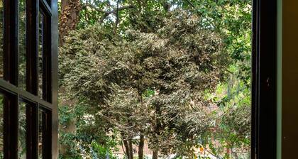 Luxury 3-bedroom House at UVA - Outdoor Fireplace