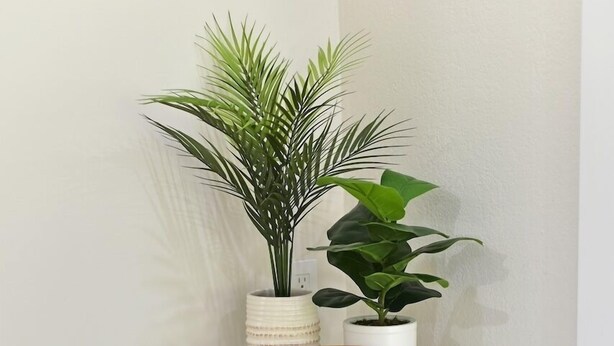 A white shelf with two potted plants and a wooden bowl. Below the shelf, there are two grey stools.