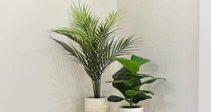 Cozy home with private entrance!