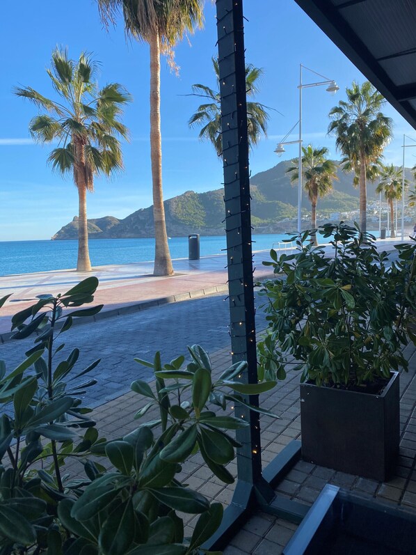 Property grounds - Alq 289 La Loma II Albir (Albir)