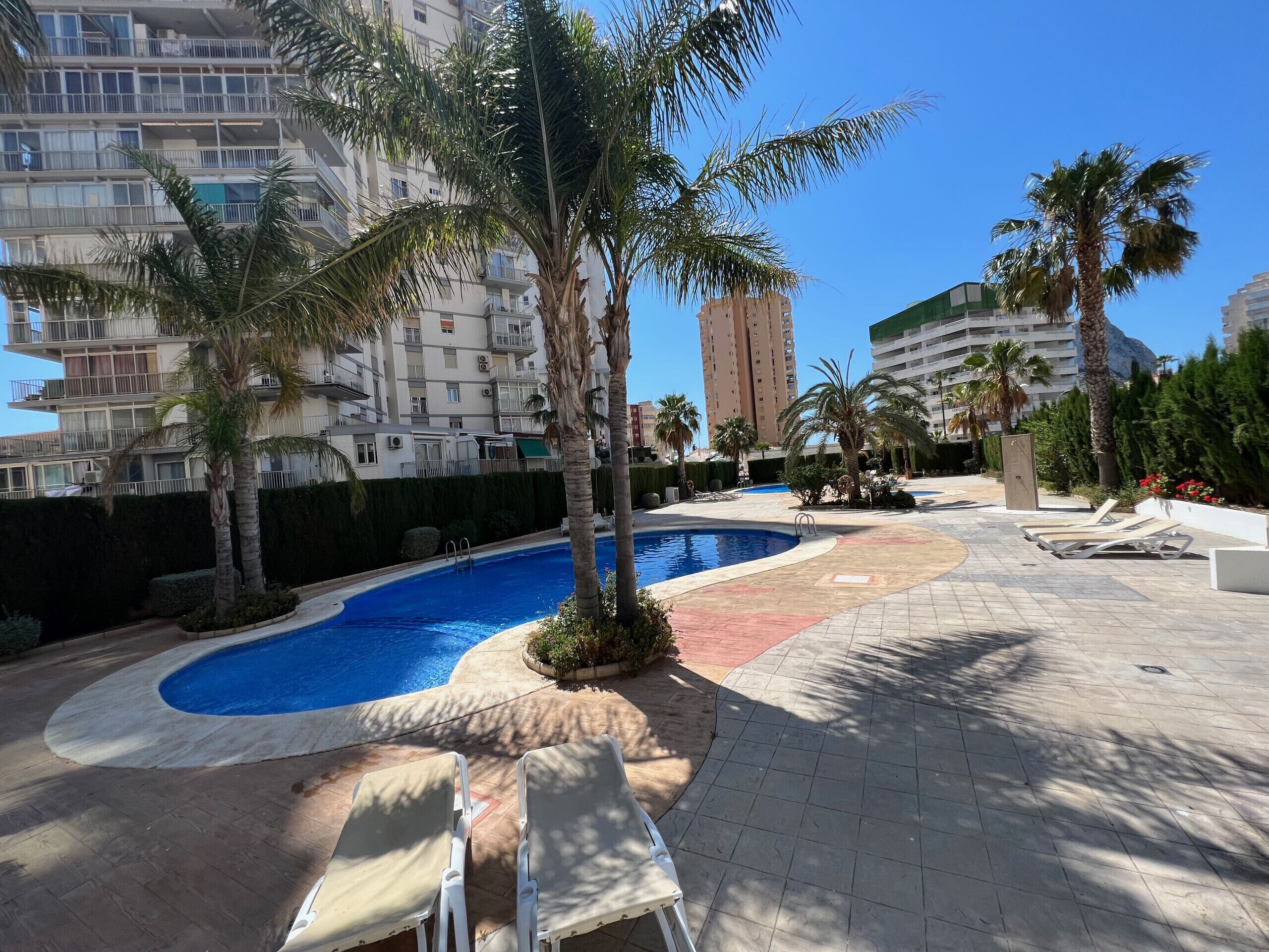 A swimming pool with lounge chairs, surrounded by palm trees and a high-rise building in the background.