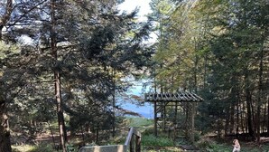 A forested area with a wooden structure, a wooden bench, and a dog. - LAKE GARFIELD WATERFRONT HOME AND BOATHOUSE (Monterey)
