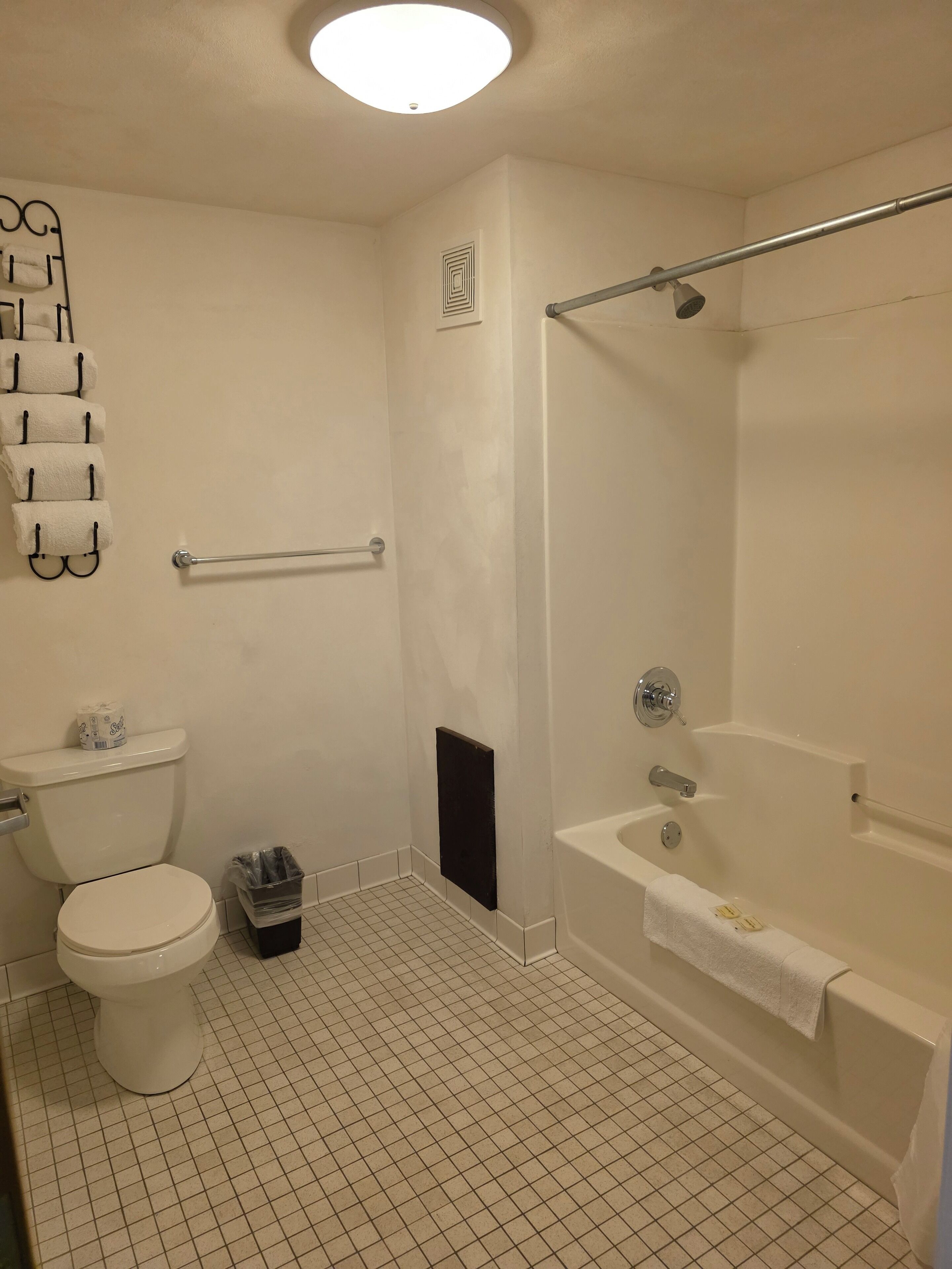 Een badkamer met een toilet, douche en bad.