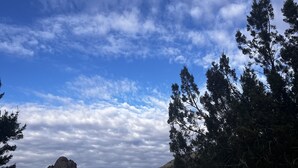 Un sendero de tierra que serpentea por un paisaje natural con una montaña en la lejanía y un cielo despejado.
