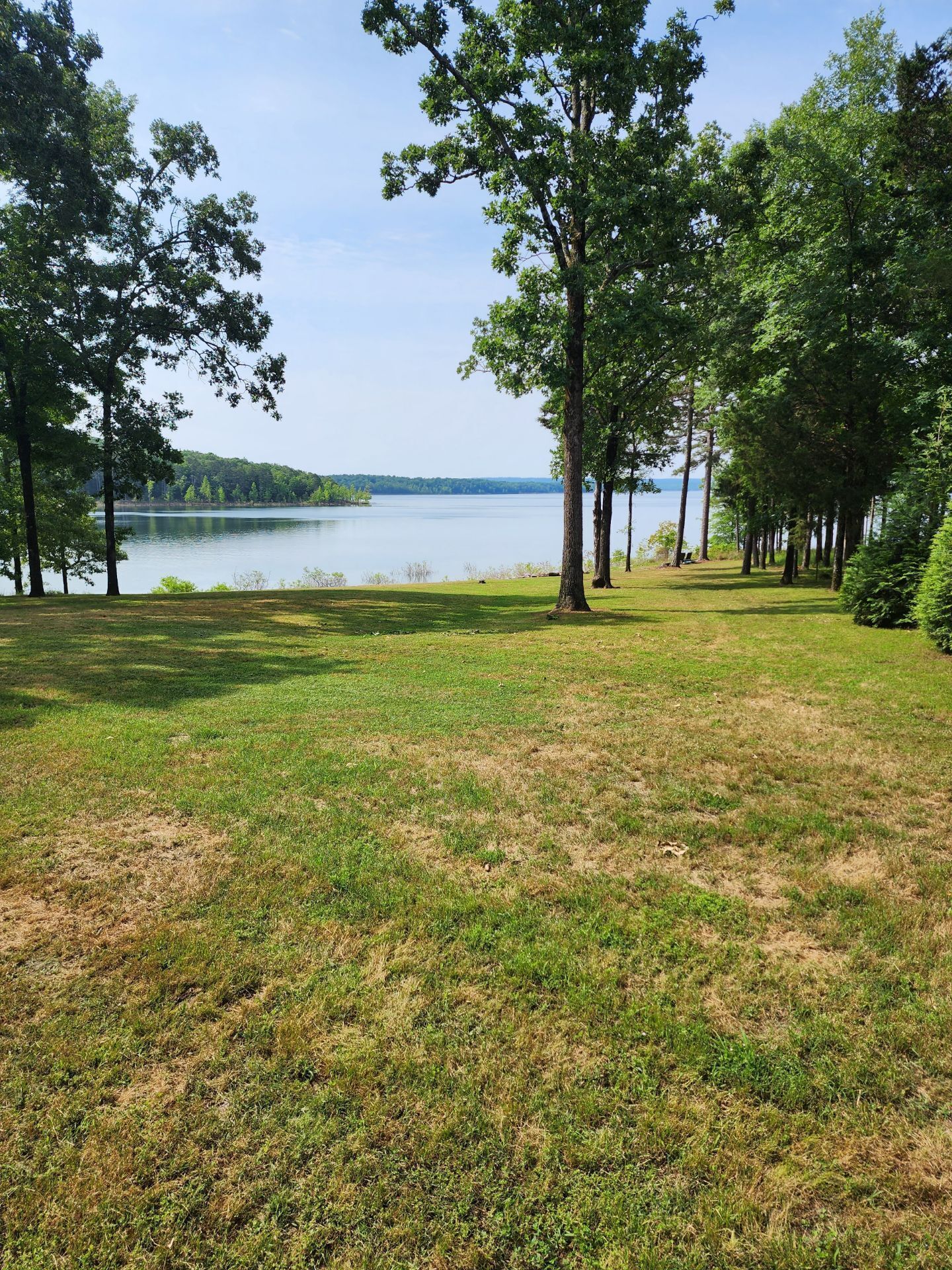 A grassy area with trees and a lake.