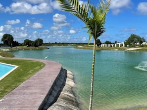 Playa