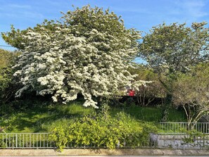 Overnatningsstedets område