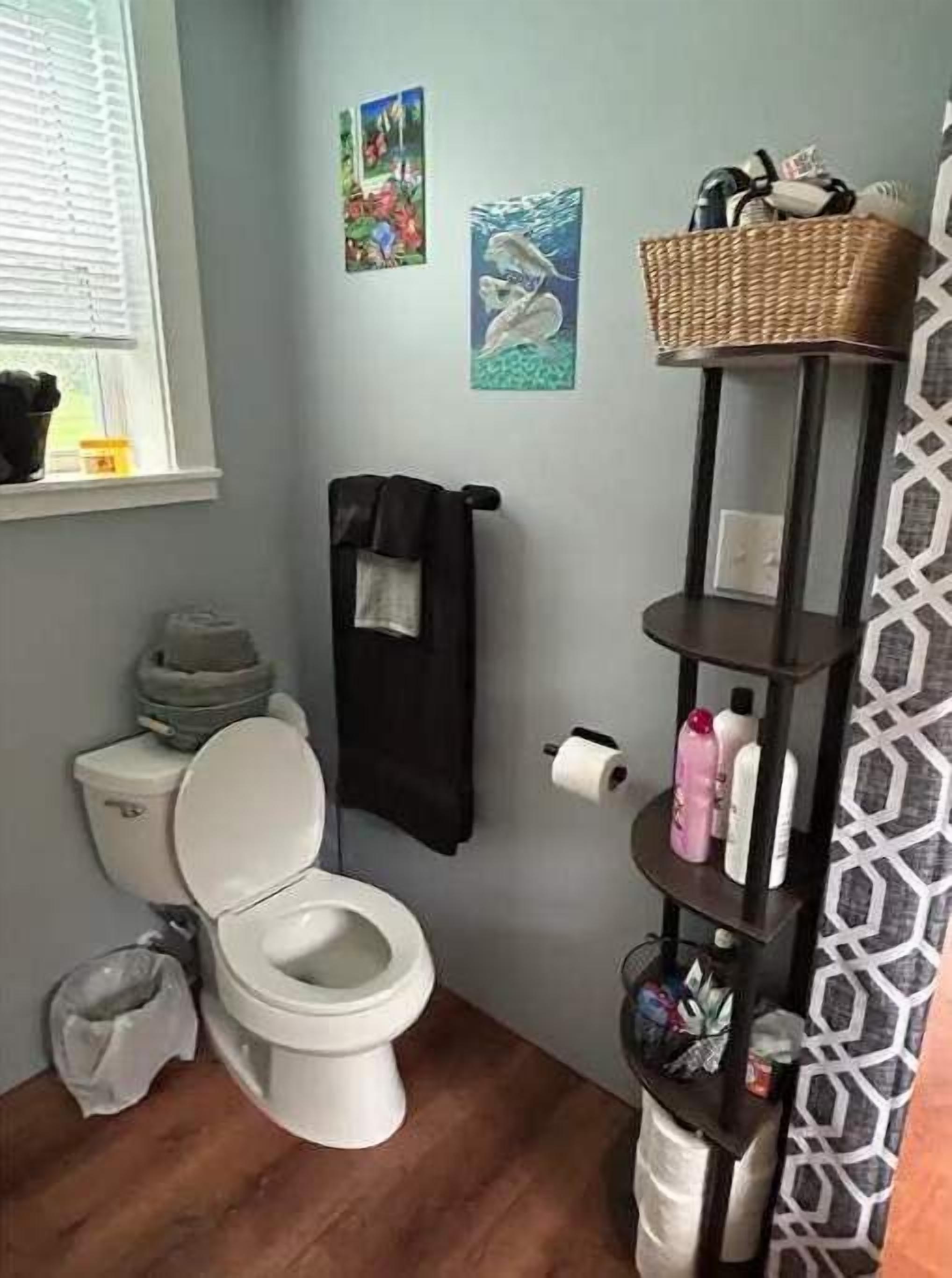 Un bagno con il water, uno scaffale con articoli da toilette e una finestra con persiane.